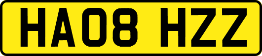 HA08HZZ