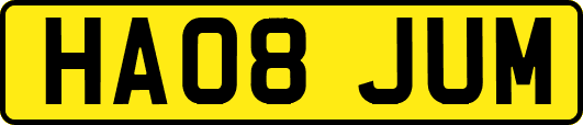 HA08JUM