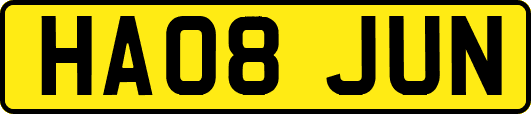HA08JUN
