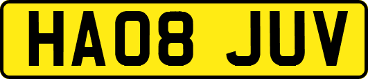 HA08JUV