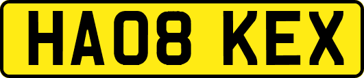 HA08KEX