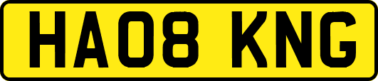 HA08KNG