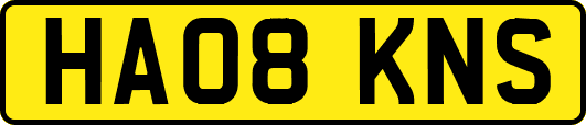 HA08KNS