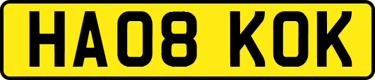 HA08KOK