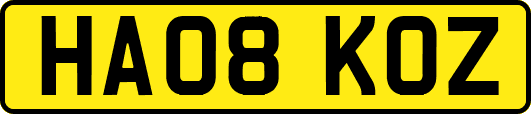 HA08KOZ