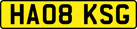 HA08KSG