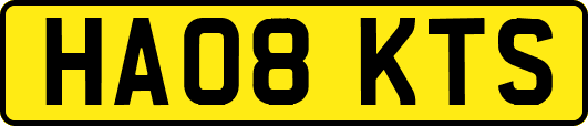 HA08KTS