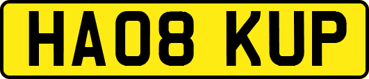 HA08KUP