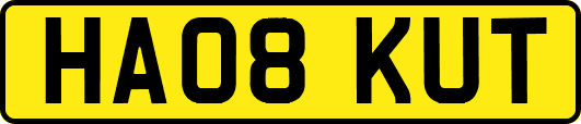 HA08KUT
