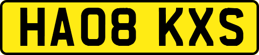 HA08KXS