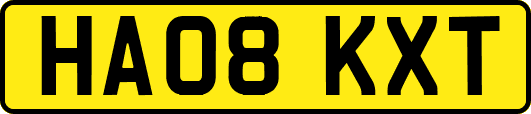 HA08KXT
