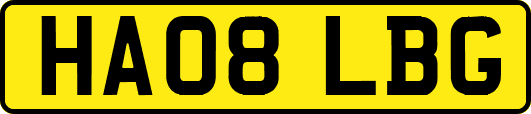 HA08LBG