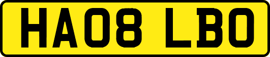 HA08LBO