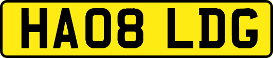 HA08LDG