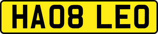 HA08LEO