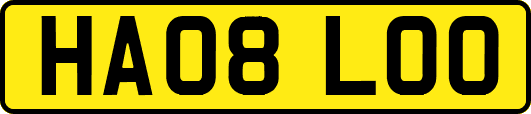 HA08LOO
