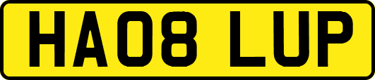 HA08LUP