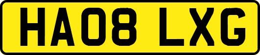 HA08LXG