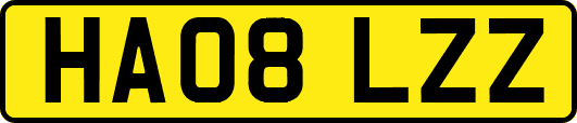 HA08LZZ