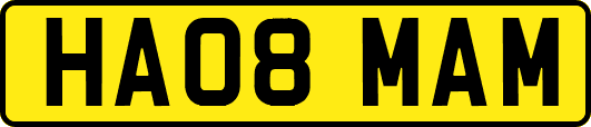 HA08MAM