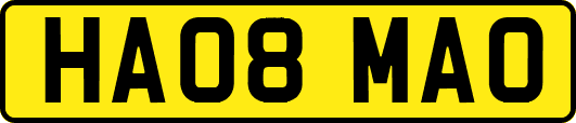 HA08MAO