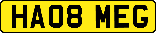 HA08MEG