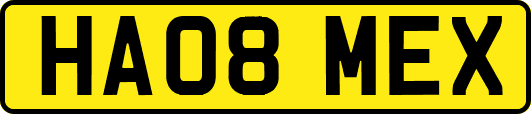 HA08MEX