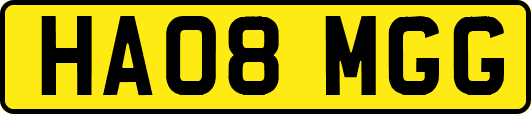 HA08MGG