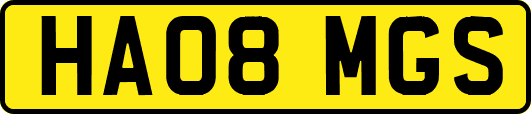 HA08MGS