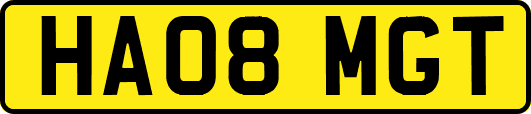 HA08MGT