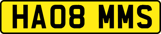 HA08MMS