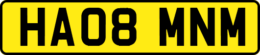 HA08MNM