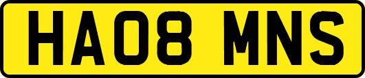HA08MNS