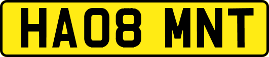 HA08MNT