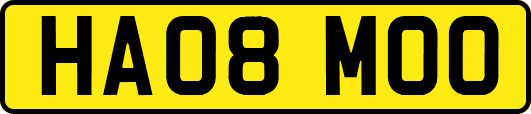 HA08MOO