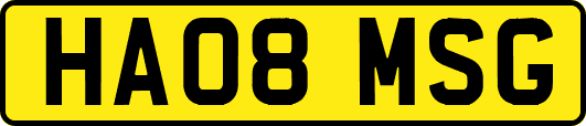HA08MSG