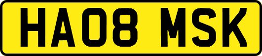 HA08MSK