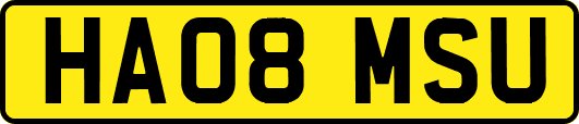 HA08MSU