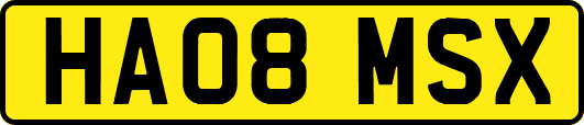 HA08MSX