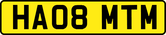 HA08MTM