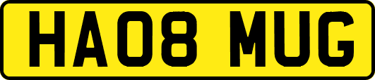 HA08MUG