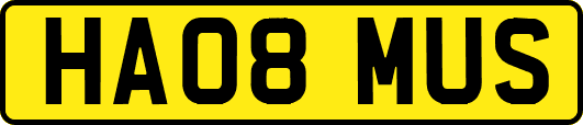 HA08MUS