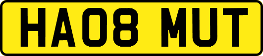 HA08MUT