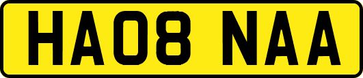 HA08NAA