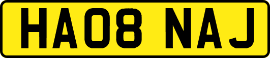 HA08NAJ