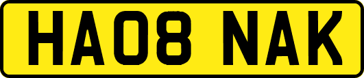 HA08NAK