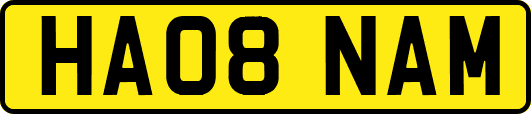 HA08NAM