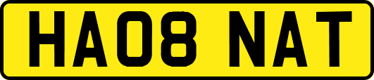 HA08NAT