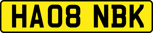 HA08NBK