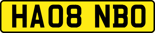 HA08NBO
